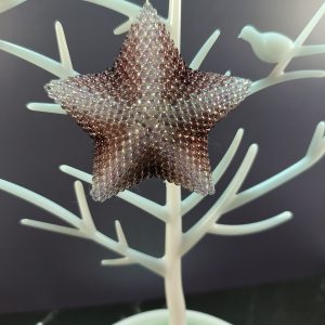 Amethyst fade star ornament